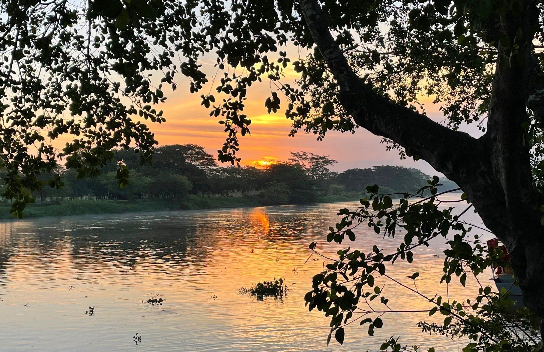 tour por el rio magdalena