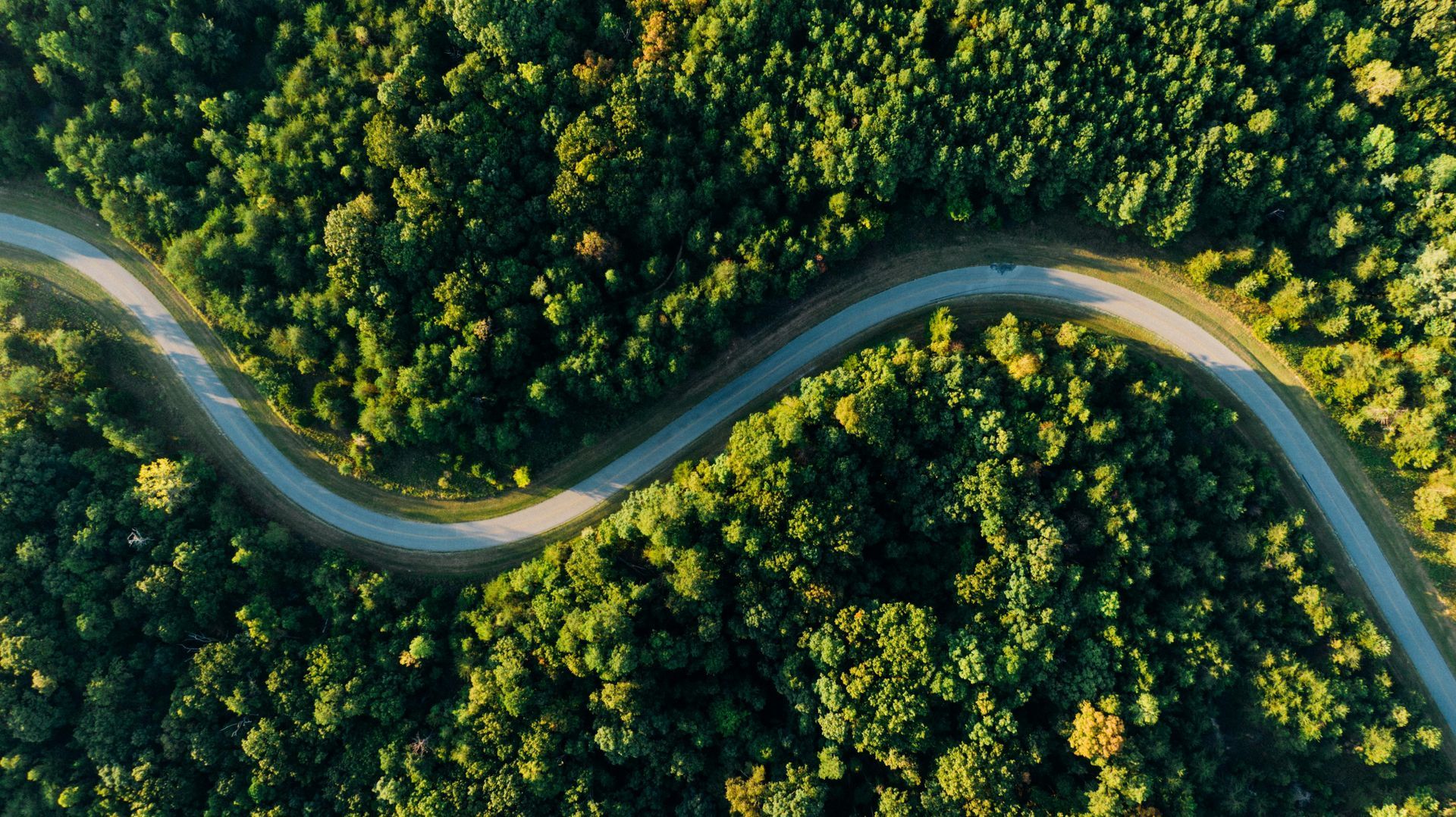 A winding road cutting through dense green forest canopy from above.