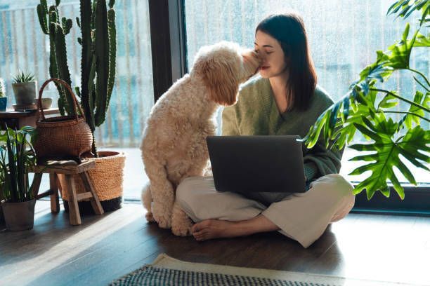Woman sitting cross-legged with laptop, dog nuzzling her face indoors near plants.