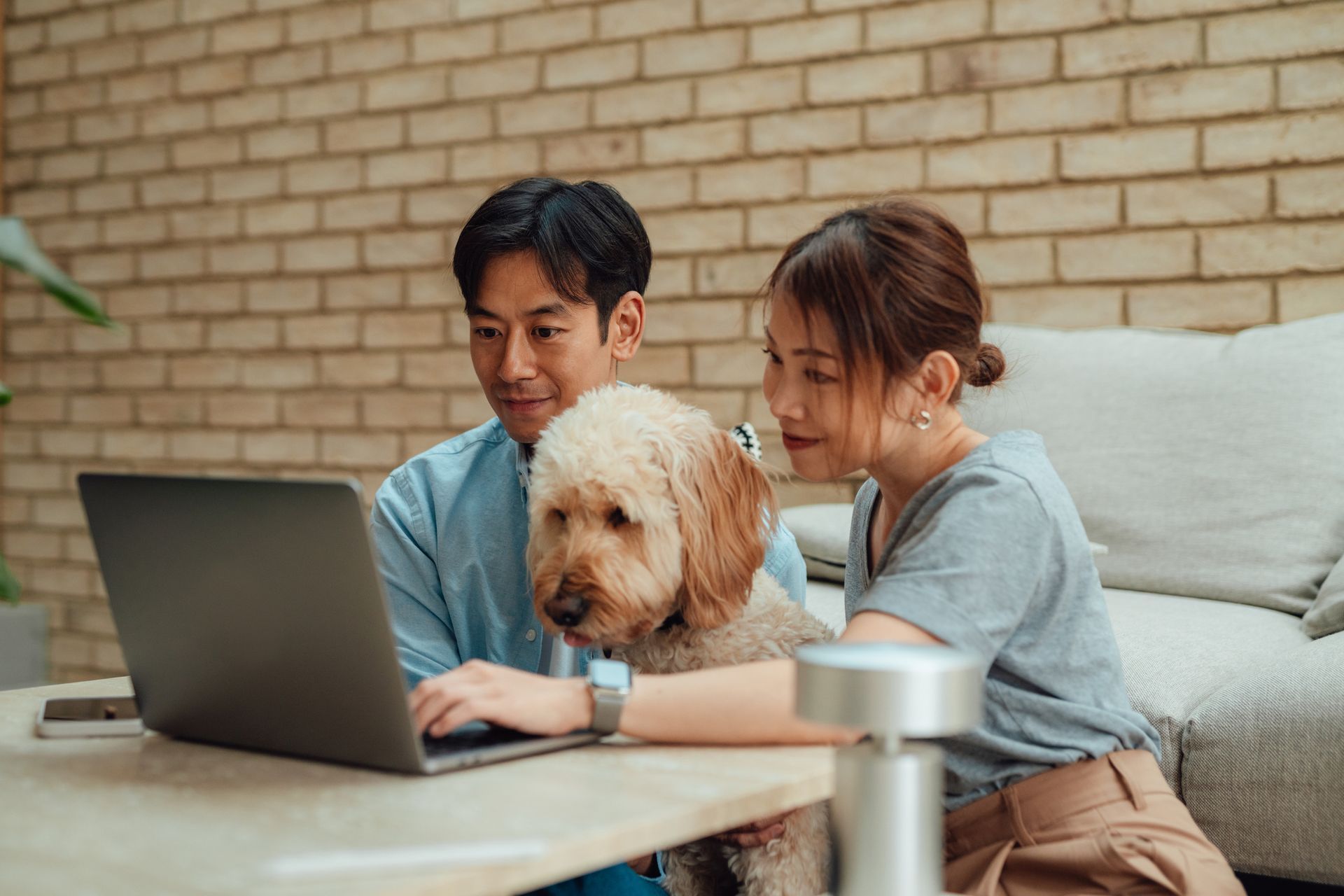 Couple and dog look at laptop in a home office setting. Couple and dog look at laptop in a home office setting.