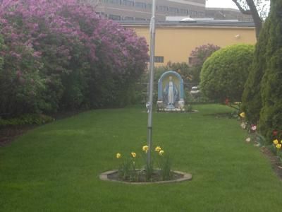 Lush garden lawn with flowering bushes, a small statue, and a central young tree in a circular bed