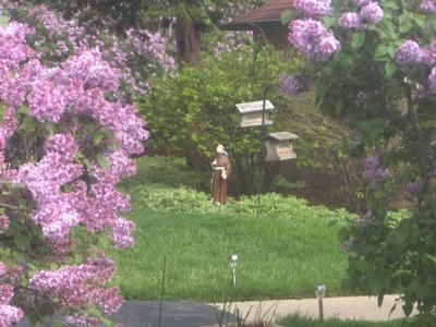 Garden scene with purple flowering trees, lush grass, and a small stone lantern near a path.