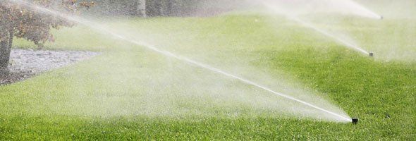 Lawn water sprinkler