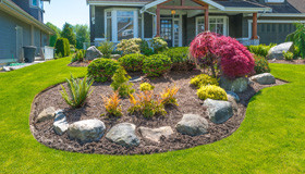 Lawn and shrub care