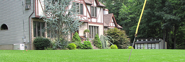 Lawn care #1