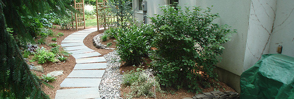 Shrubs and walkway