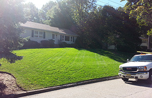 Superior Lawn Care