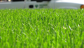 Lawn care #2