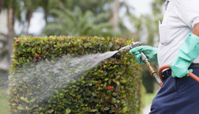 Garden pest control