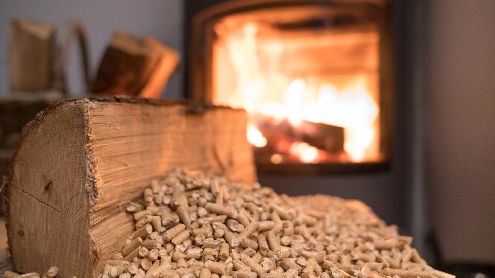 New Forest Wood burning stove