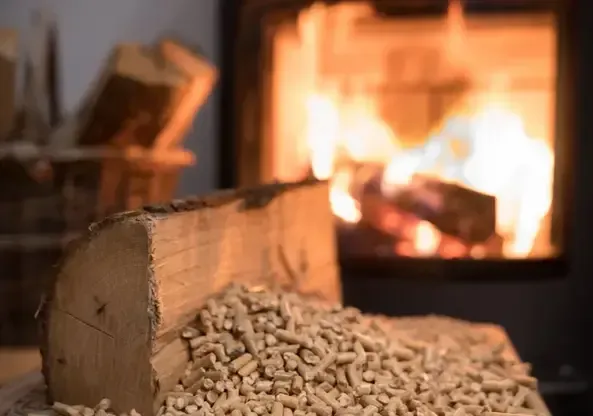 New Forest Wood burning stove