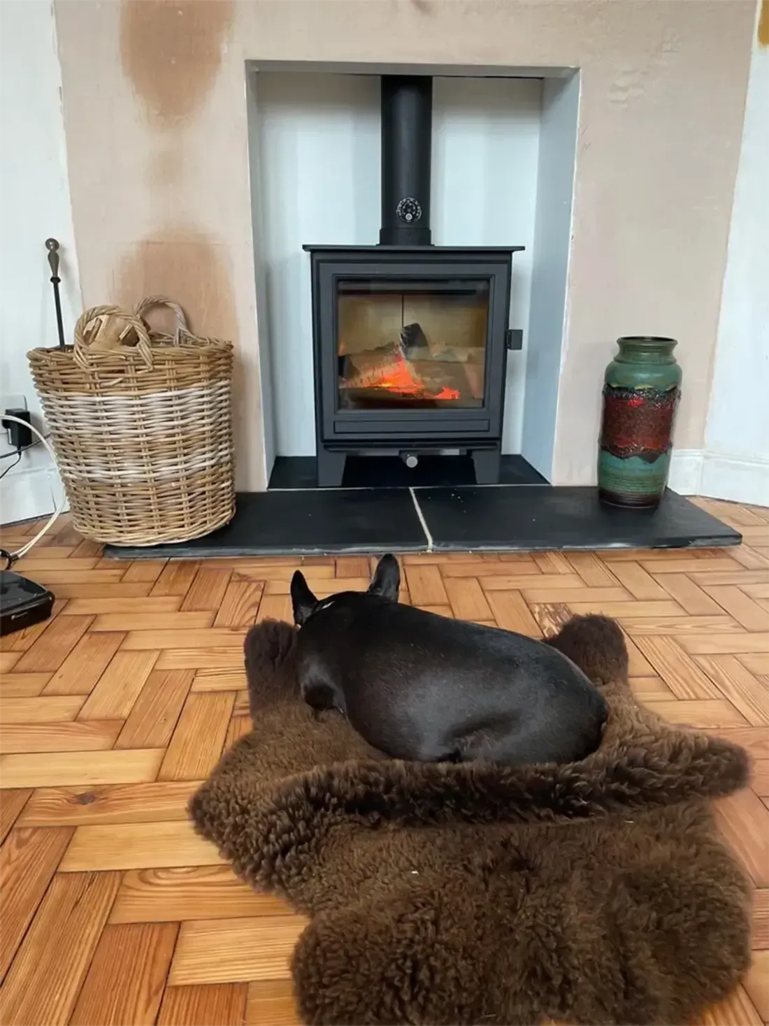 New Forest Wood burning stove