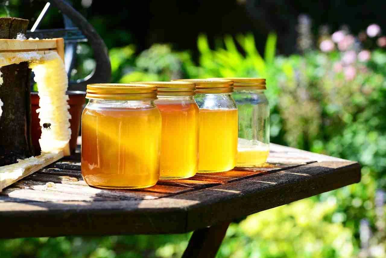 miel, mel, adulterar, natural, autentica, jarabe, Girona, abejas, romero, lavanda, tomillo, mil flores, calidad, precio, mel, autèntica, xarop, Girona, abelles, romaní, lavanda, farigola, mil flors, qualitat, preu