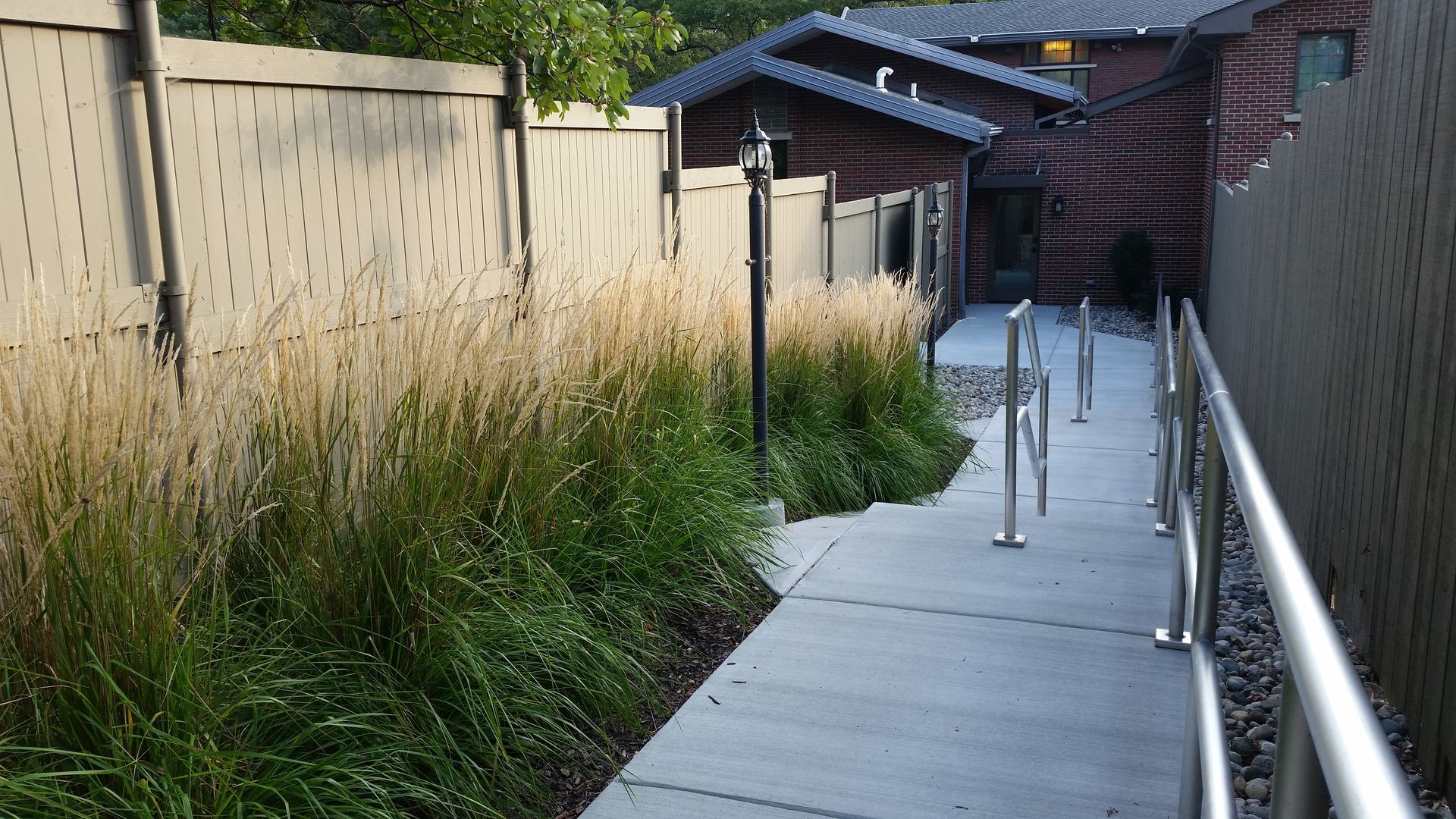 A concrete path with metal handrails runs between tall ornamental grasses and a wooden fence, leading to a building.