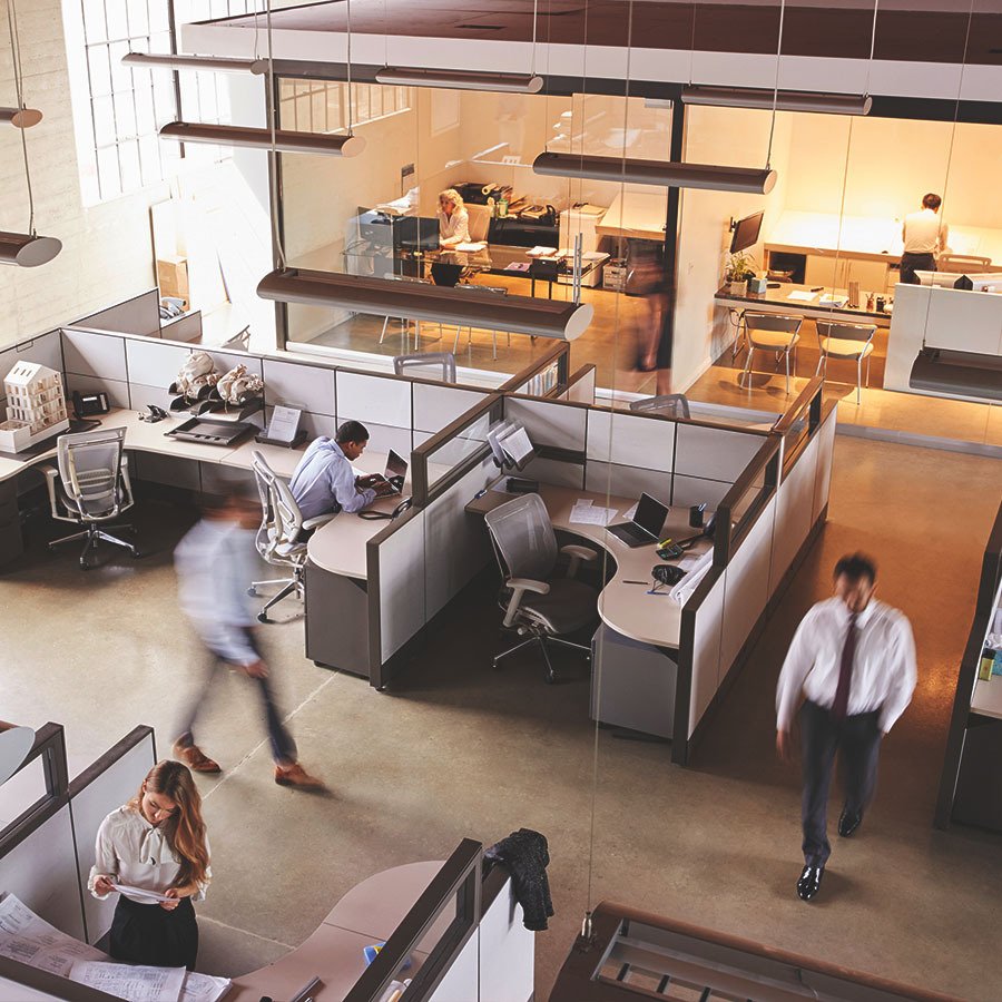 Premium Moving & Delivery Company Guelph, ON Macho Movers