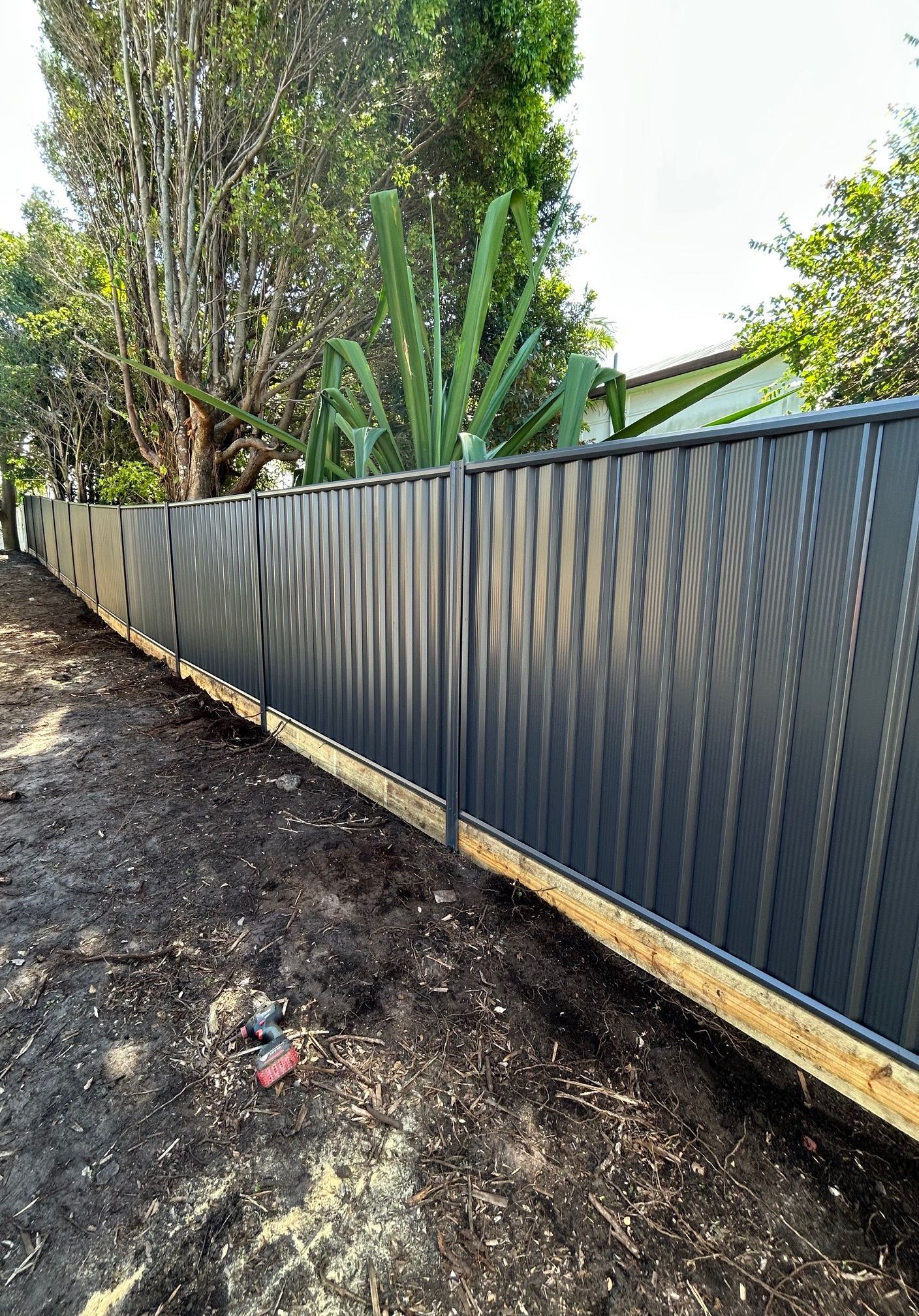 Dark corrugated metal fence along a dirt path, with trees and tall green plants behind it.