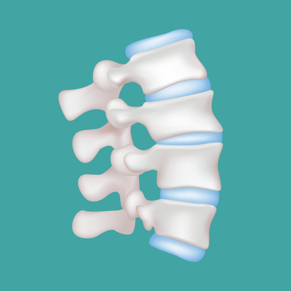 A cartoon illustration of a spine on a blue background.