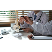Two doctors reviewing a spine model in an office setting.
