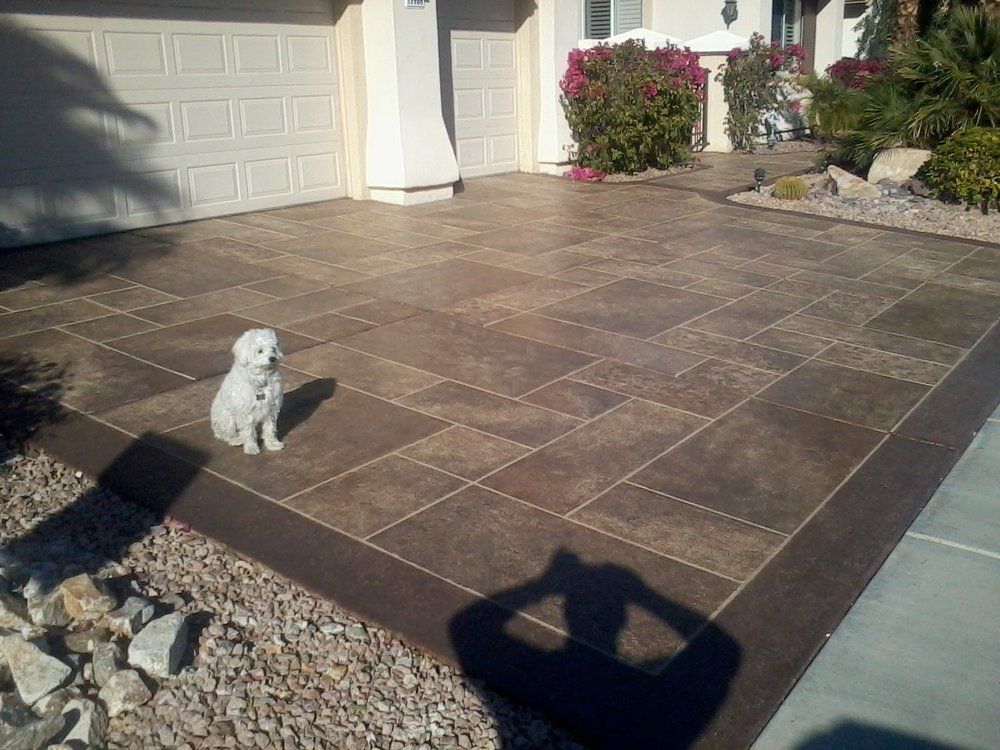 Dog in new driveway