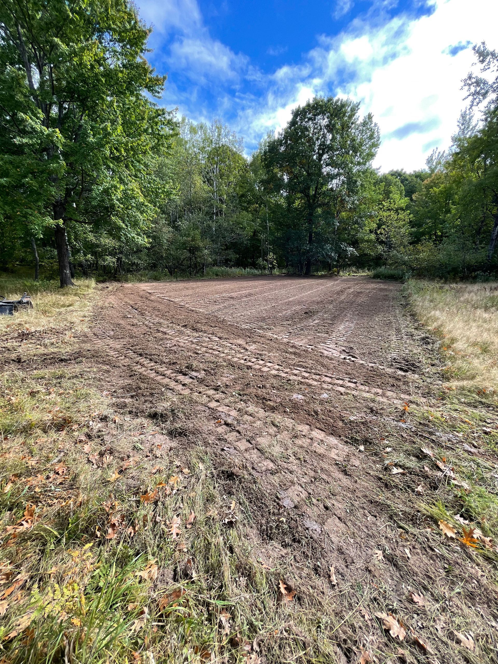 Tilled muddy earth clearing in a forest, surrounded by trees and patches of green grass under a blue sky.