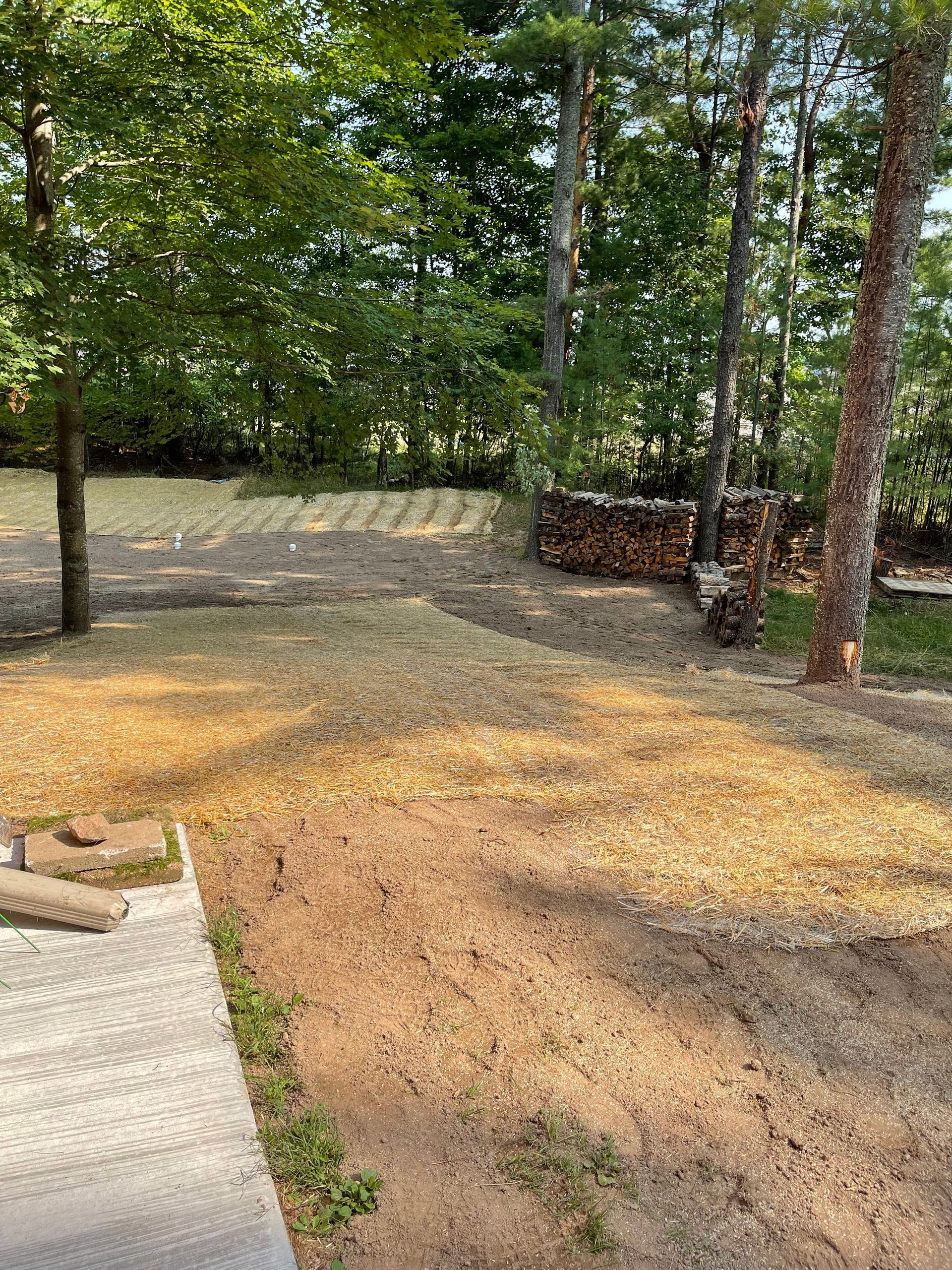 Dirt yard with wood chips, trees, and a pile of firewood.