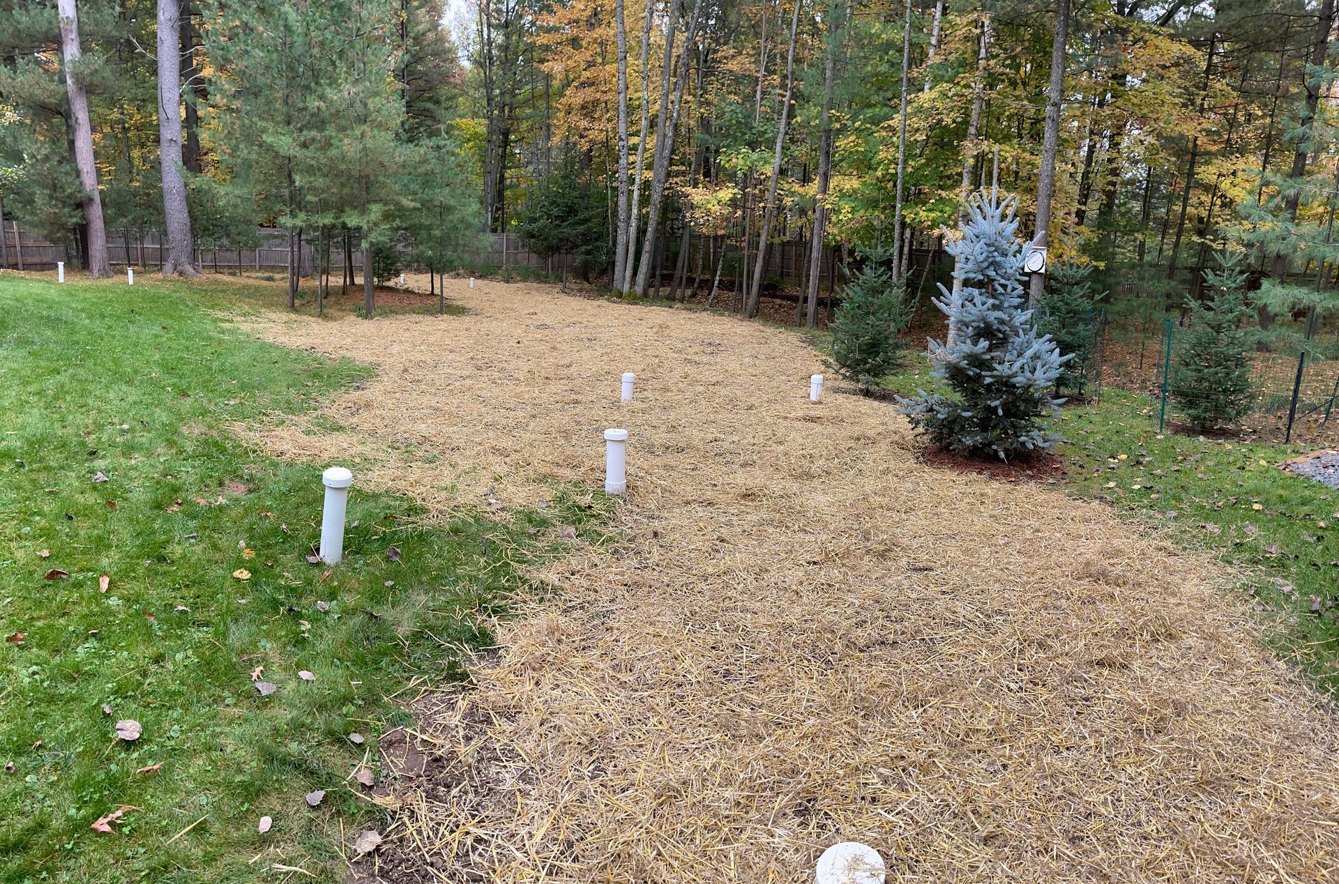 Backyard with grass, mulch-covered area, trees in the background, and white pipes in the ground.