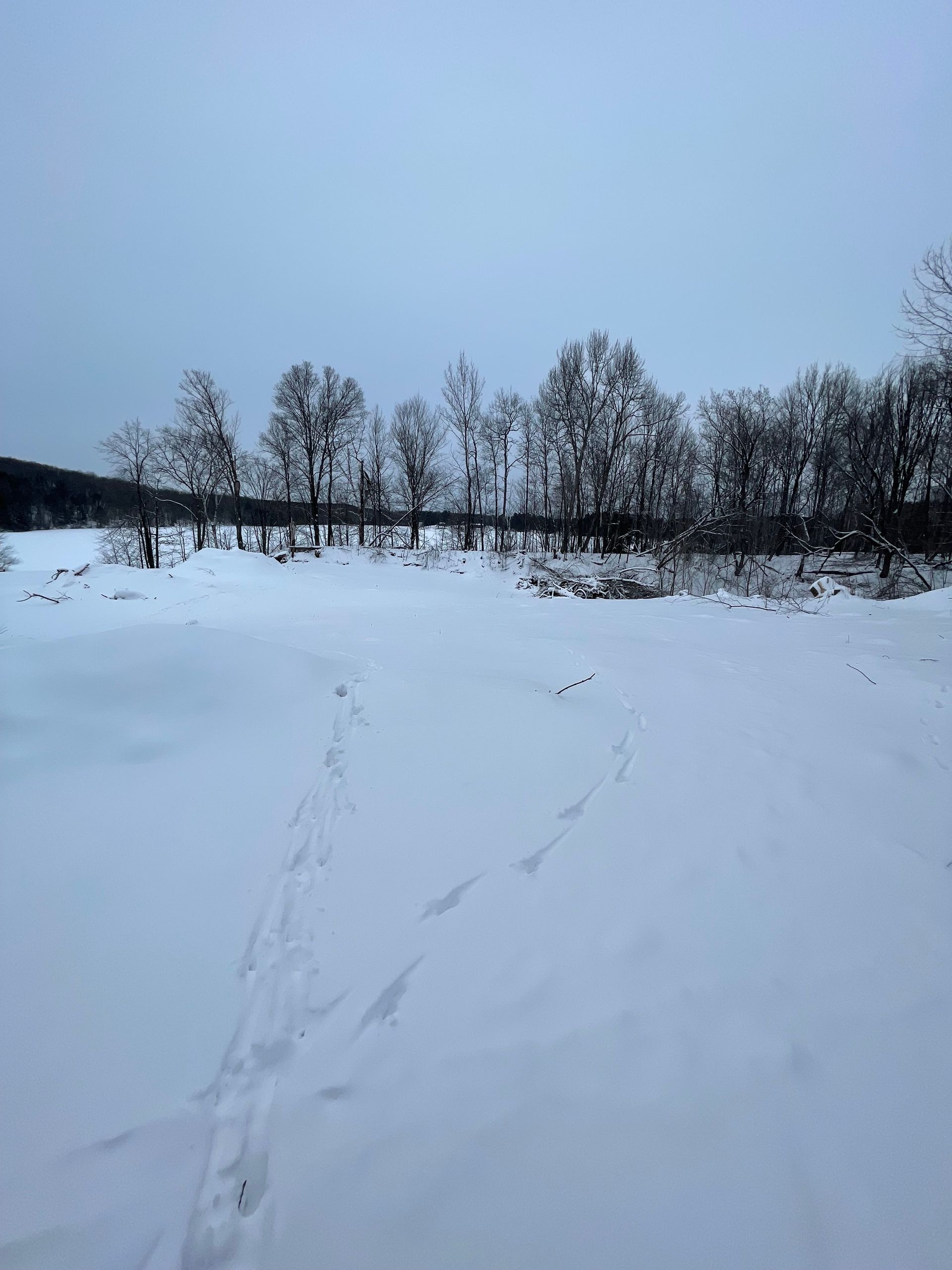 Snowy landscape with footprints leading toward trees on the horizon under an overcast sky.