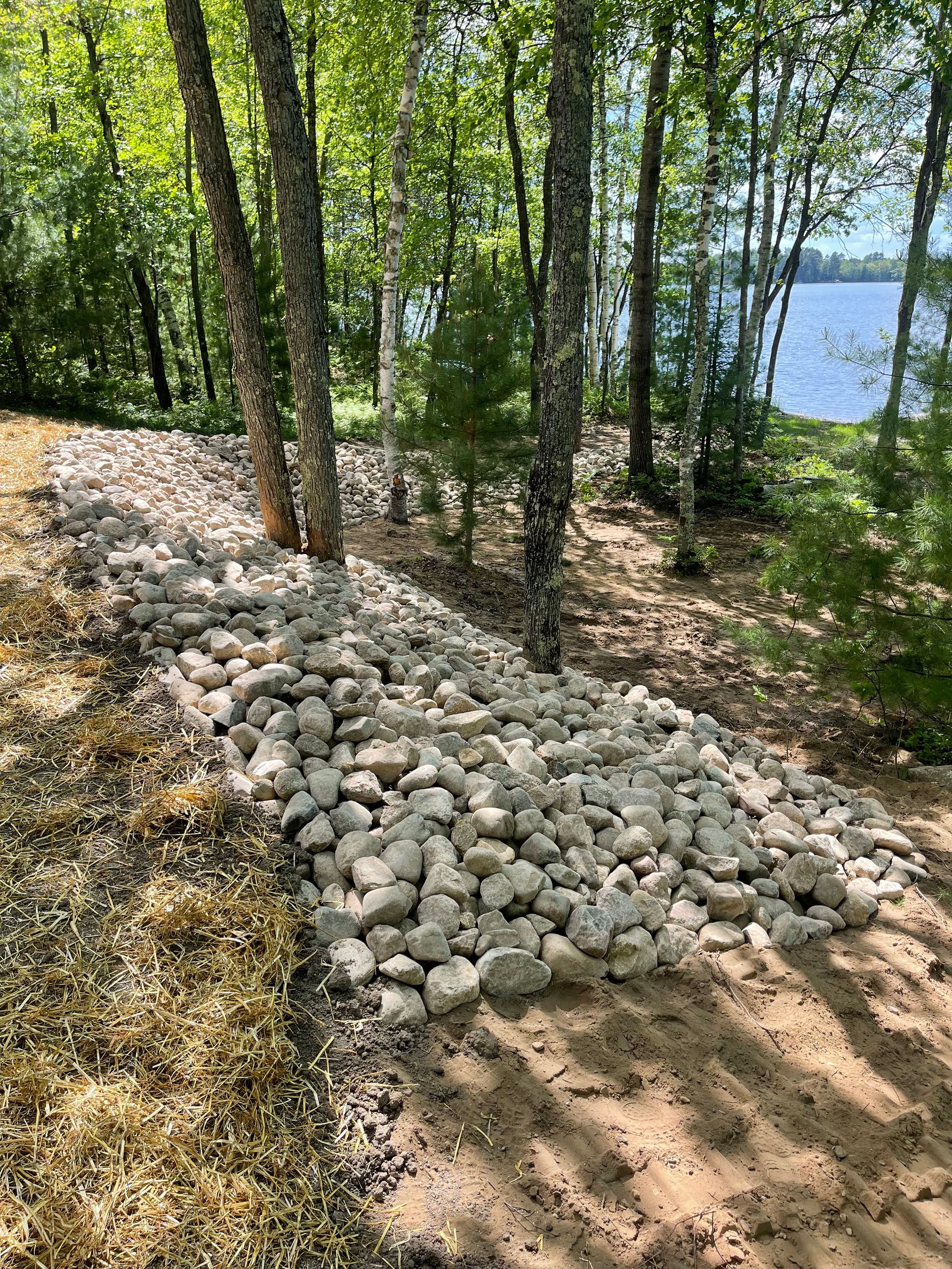Rocks and dirt surround trees near a lake. Sunlight shines on the scene, creating shadows.
