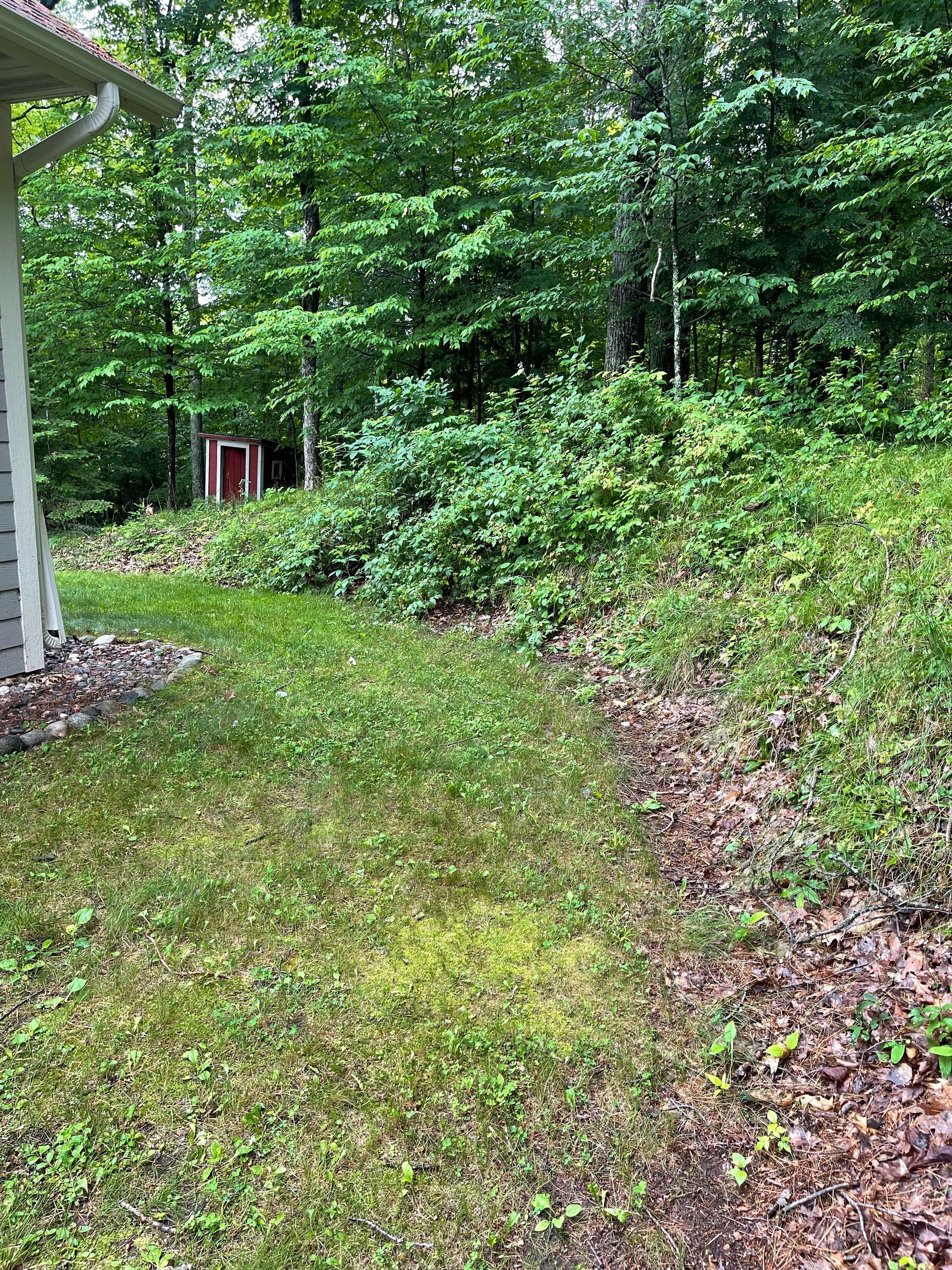 Grassy yard sloping up to a wooded area, a red shed is visible in the distance.