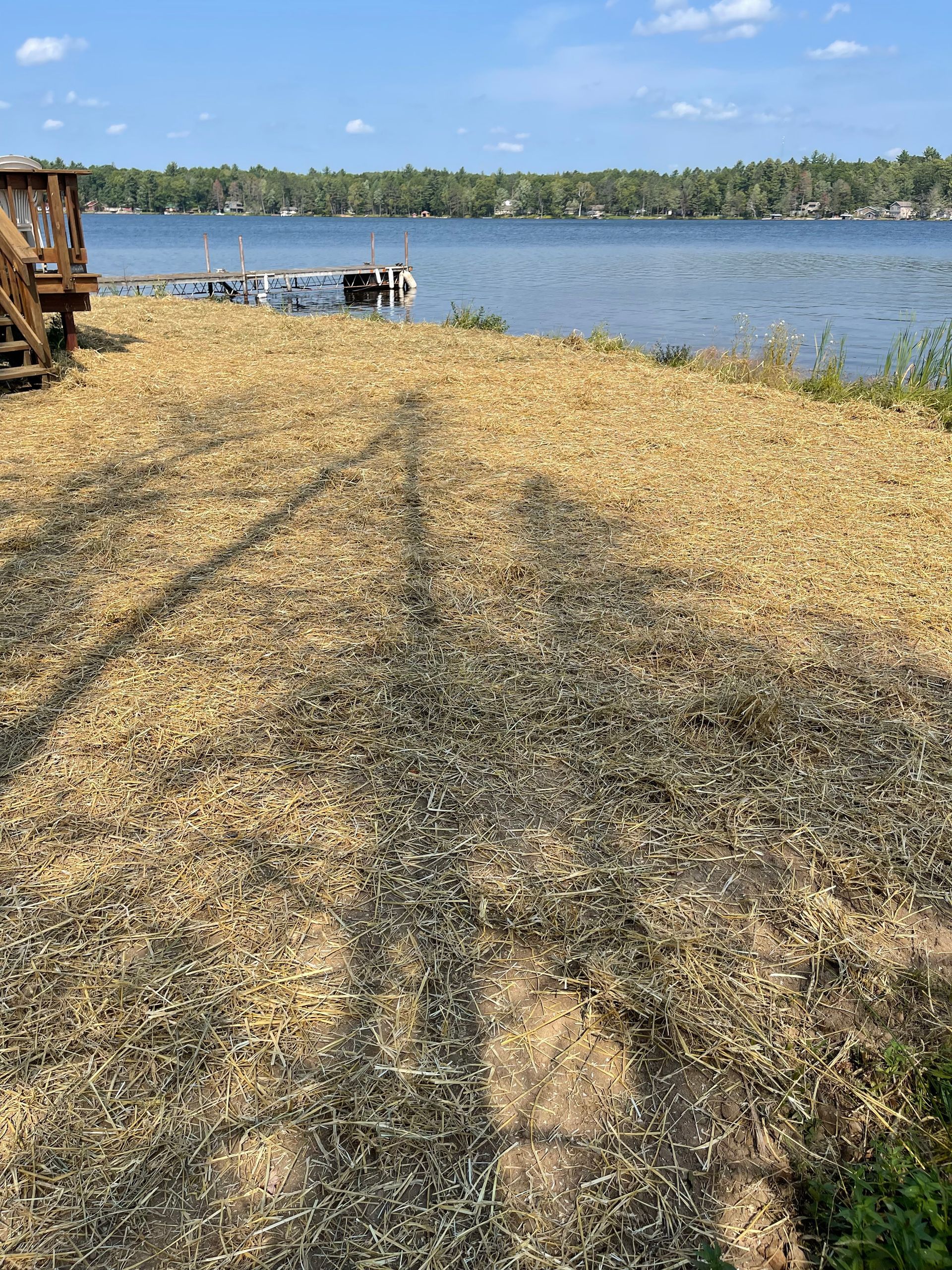 Lakeshore covered in light-colored mulch with a lake in the background and a blue sky above.