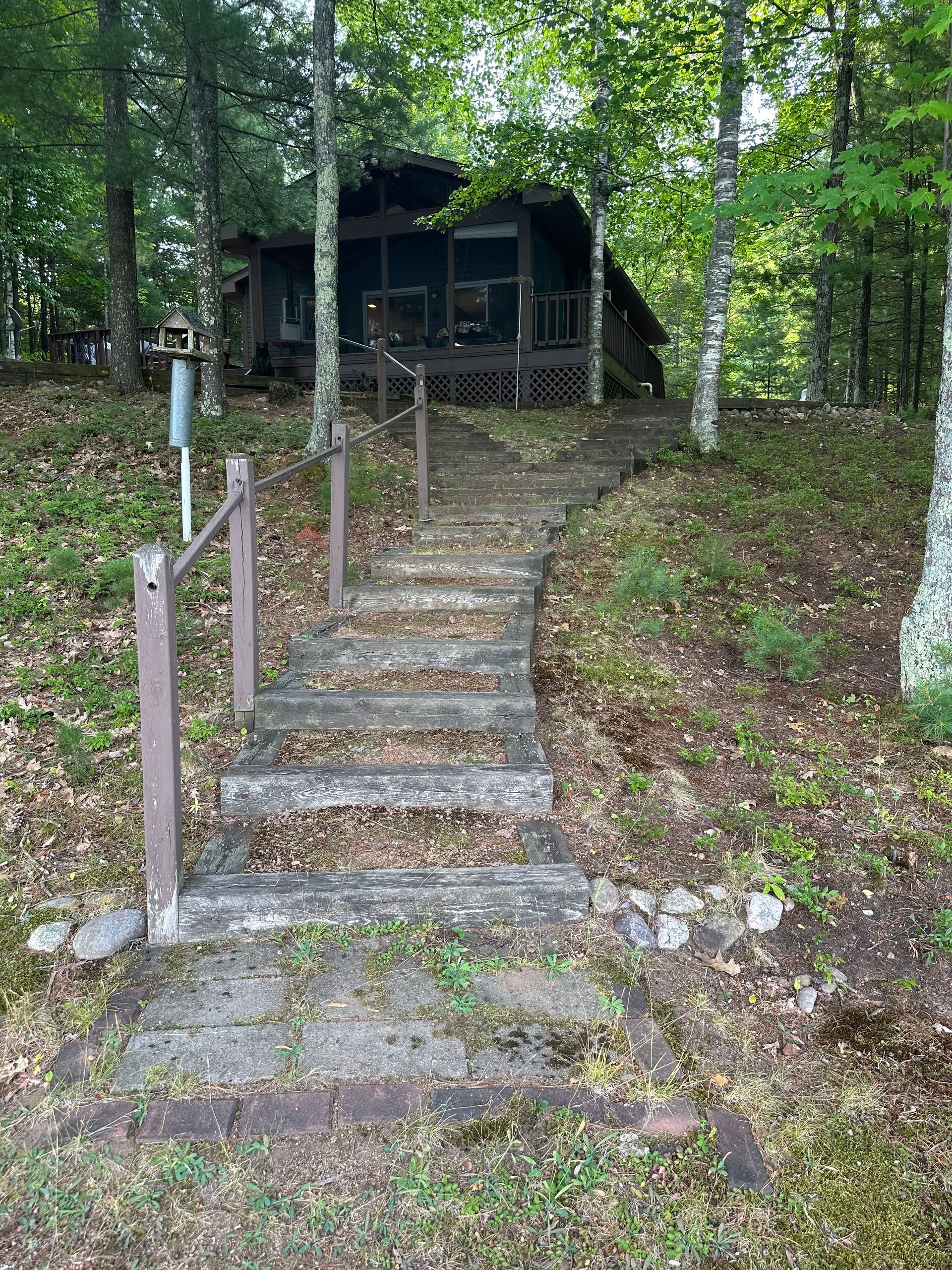 Concrete steps leading up to a cabin in a wooded area. Handrails on either side.