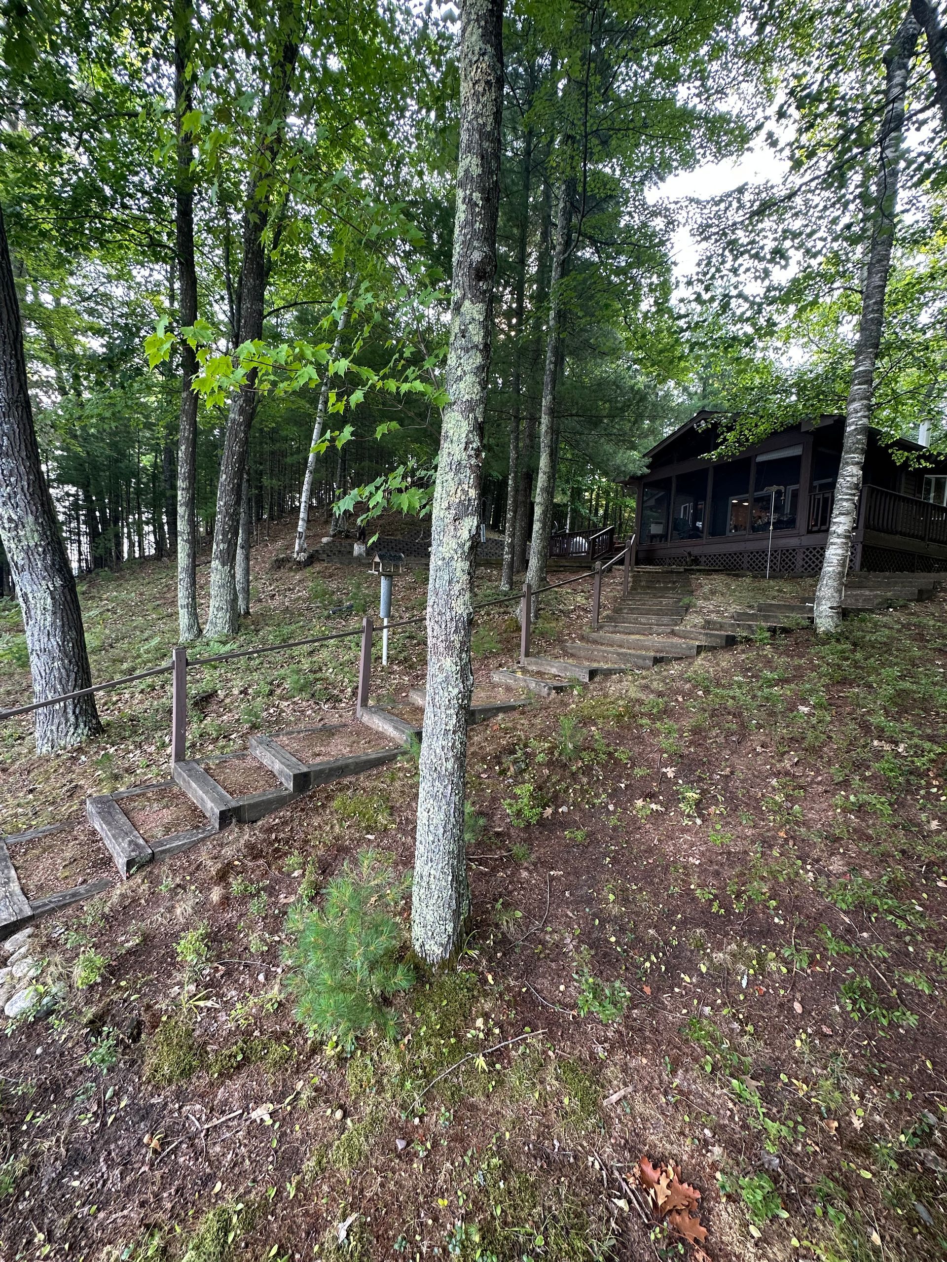 Steps leading up to a wooden cabin surrounded by trees on a wooded hillside.