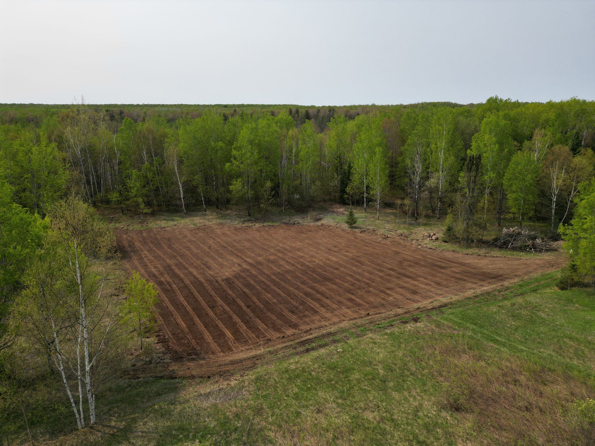 Tilled brown field surrounded by green trees and grass, under a bright sky.