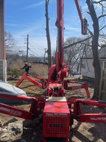 Arborist — Tree Services in Revere, MA Arborist — Tree Services in Revere, MA