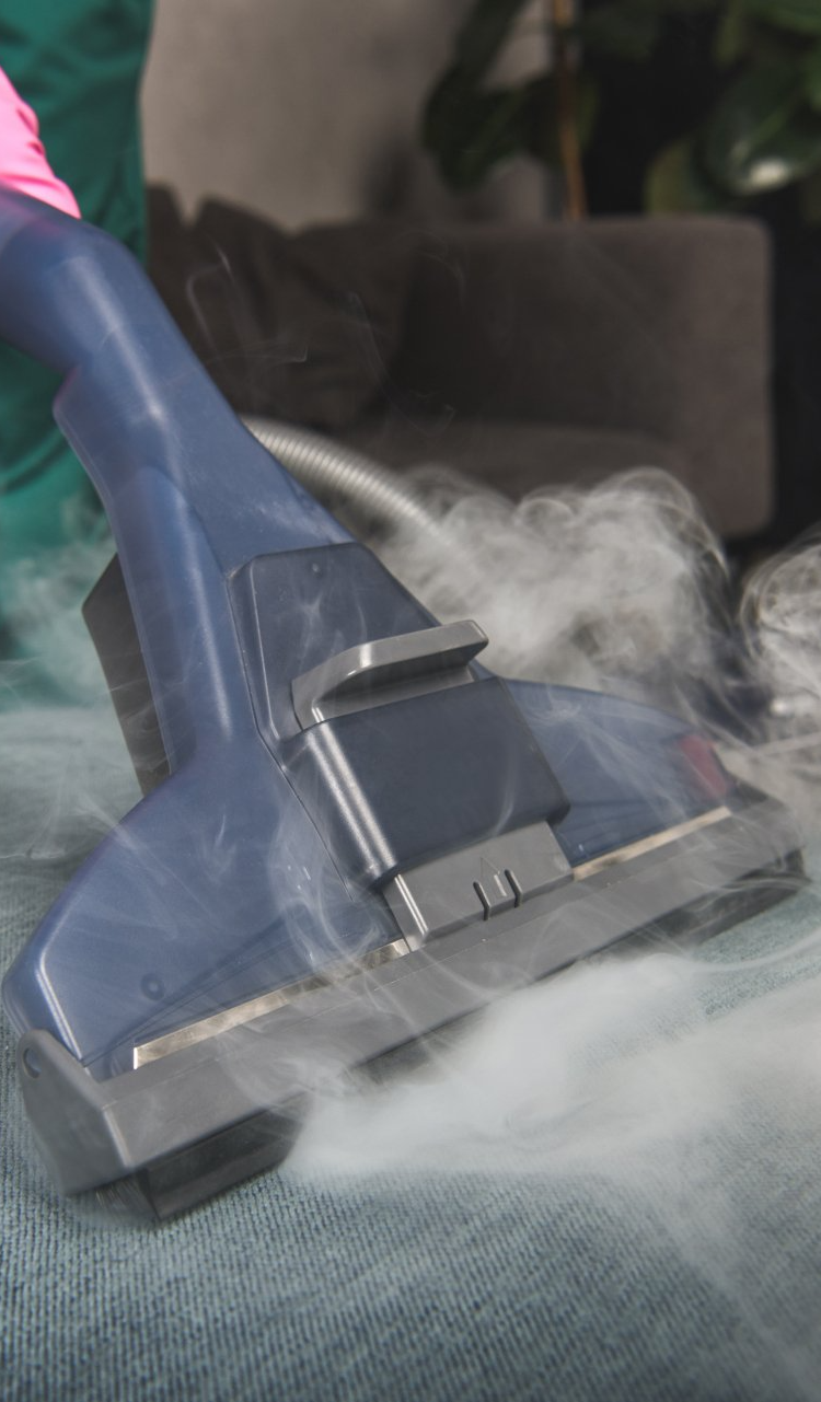 a professional cleaning sofa