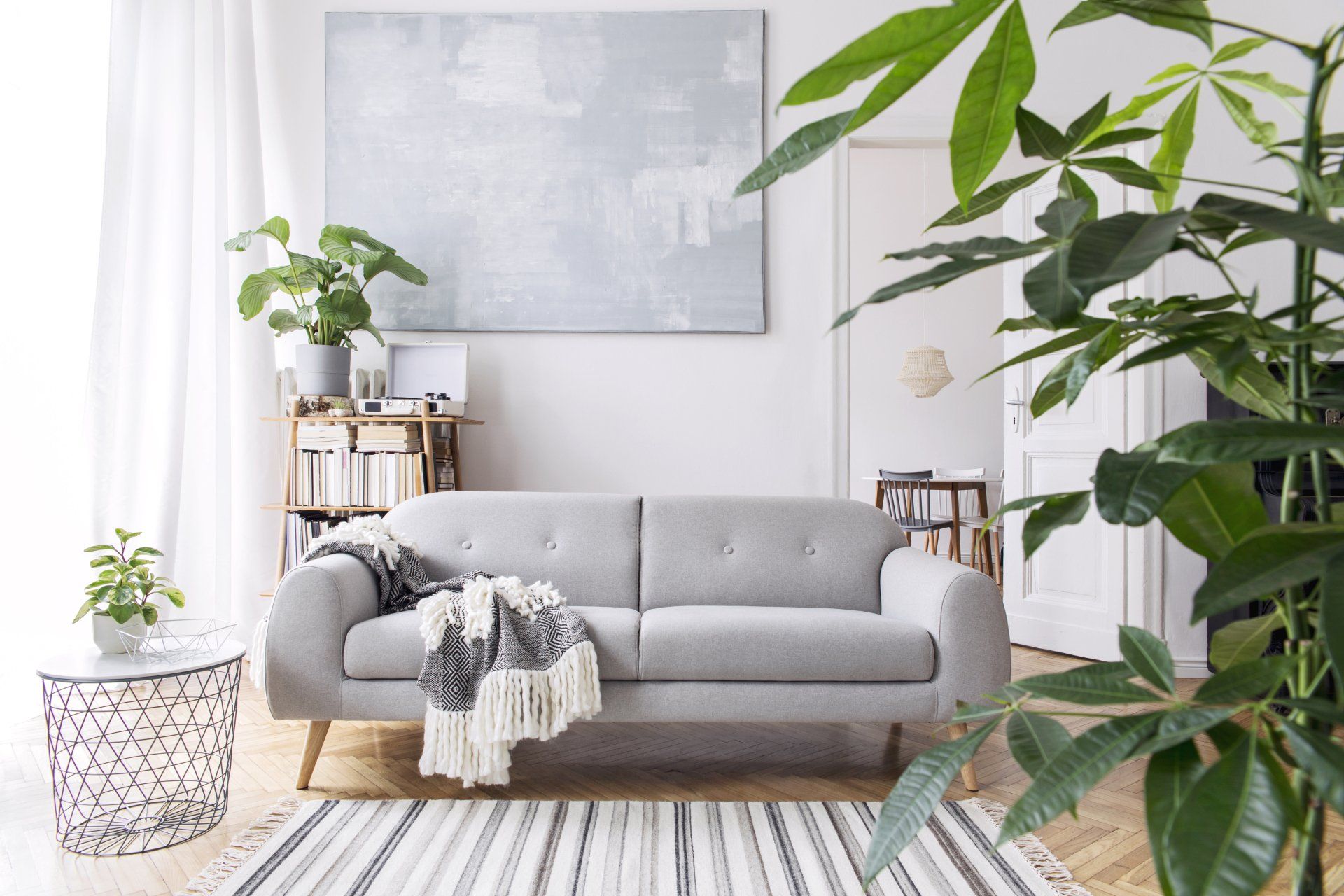 modern living room with carpet