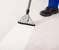 a man cleaning the carpets