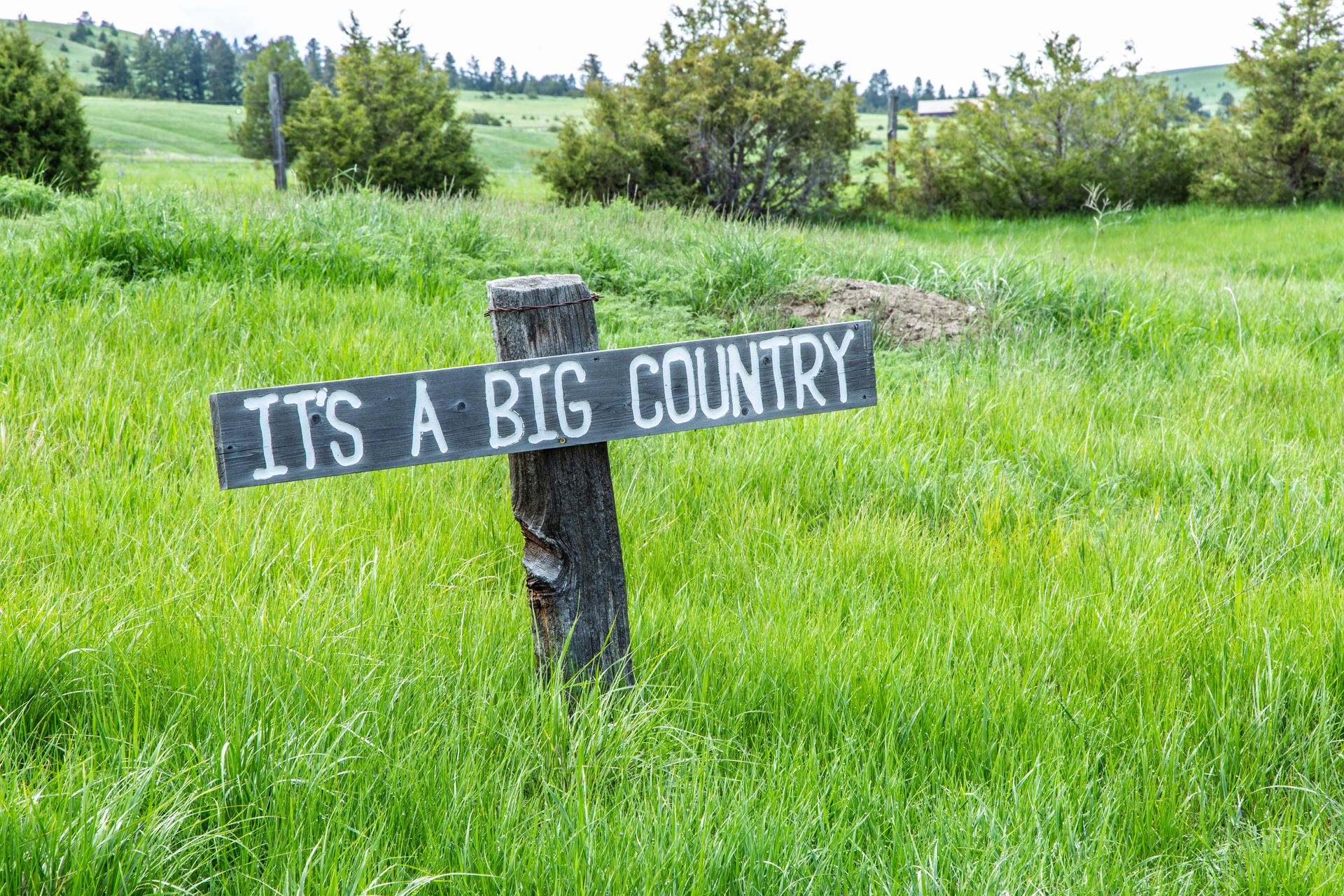 Photo Gallery | Rock Creek Cattle Company