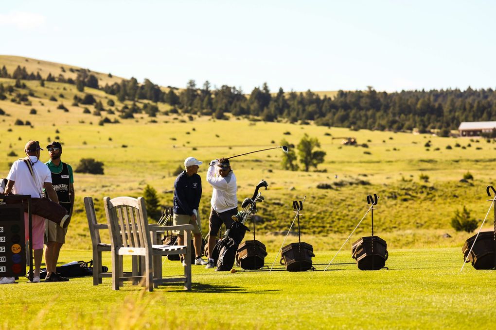 A group of people are playing golf on a lush green field.