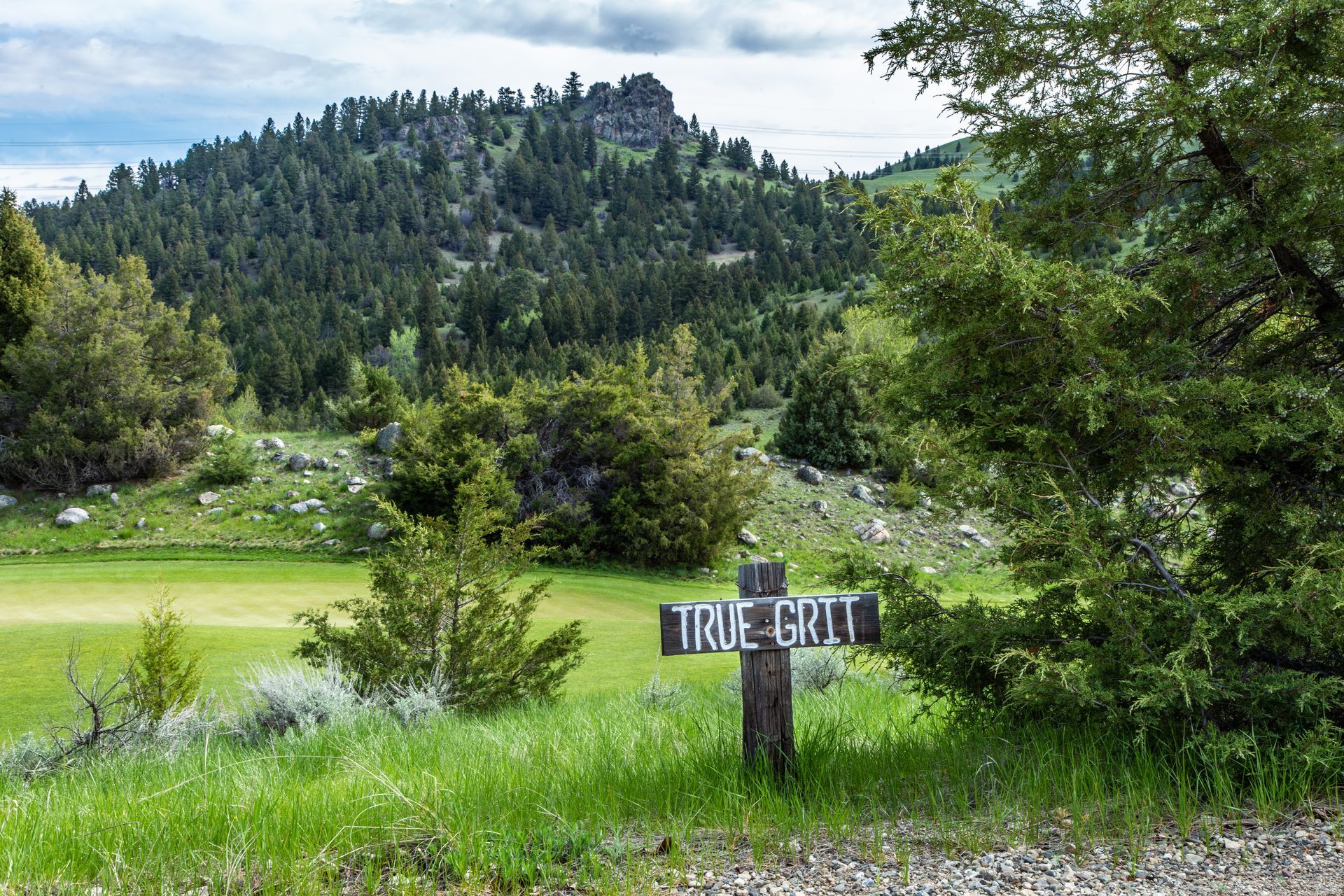 A sign that says `` true grit '' is in the middle of a grassy field.