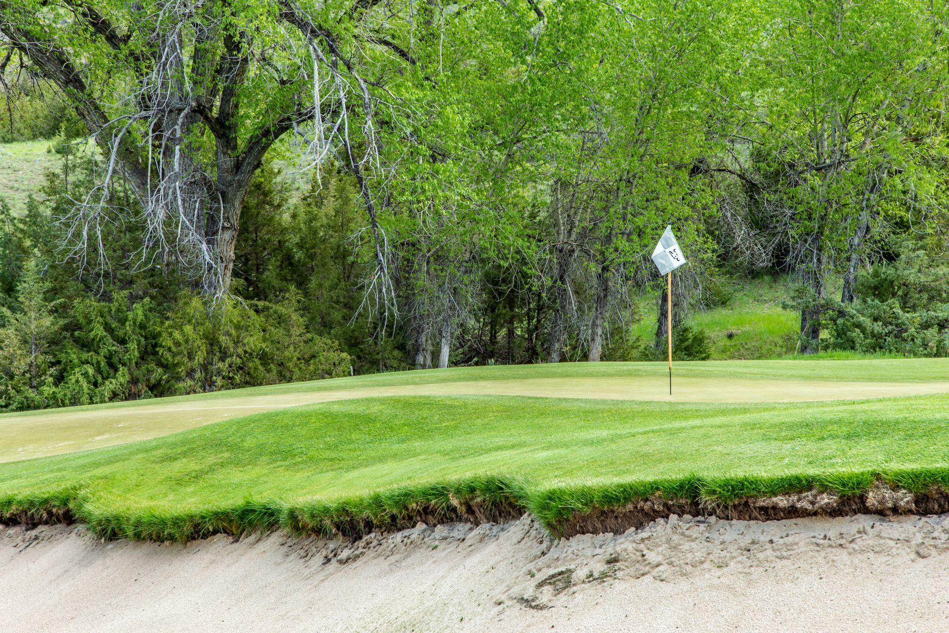 A golf course with a bunker and trees in the background.