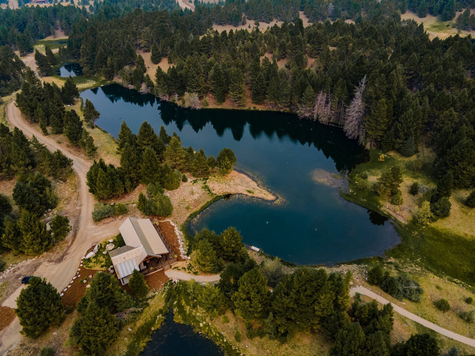 An aerial view of a lake surrounded by trees and a house.