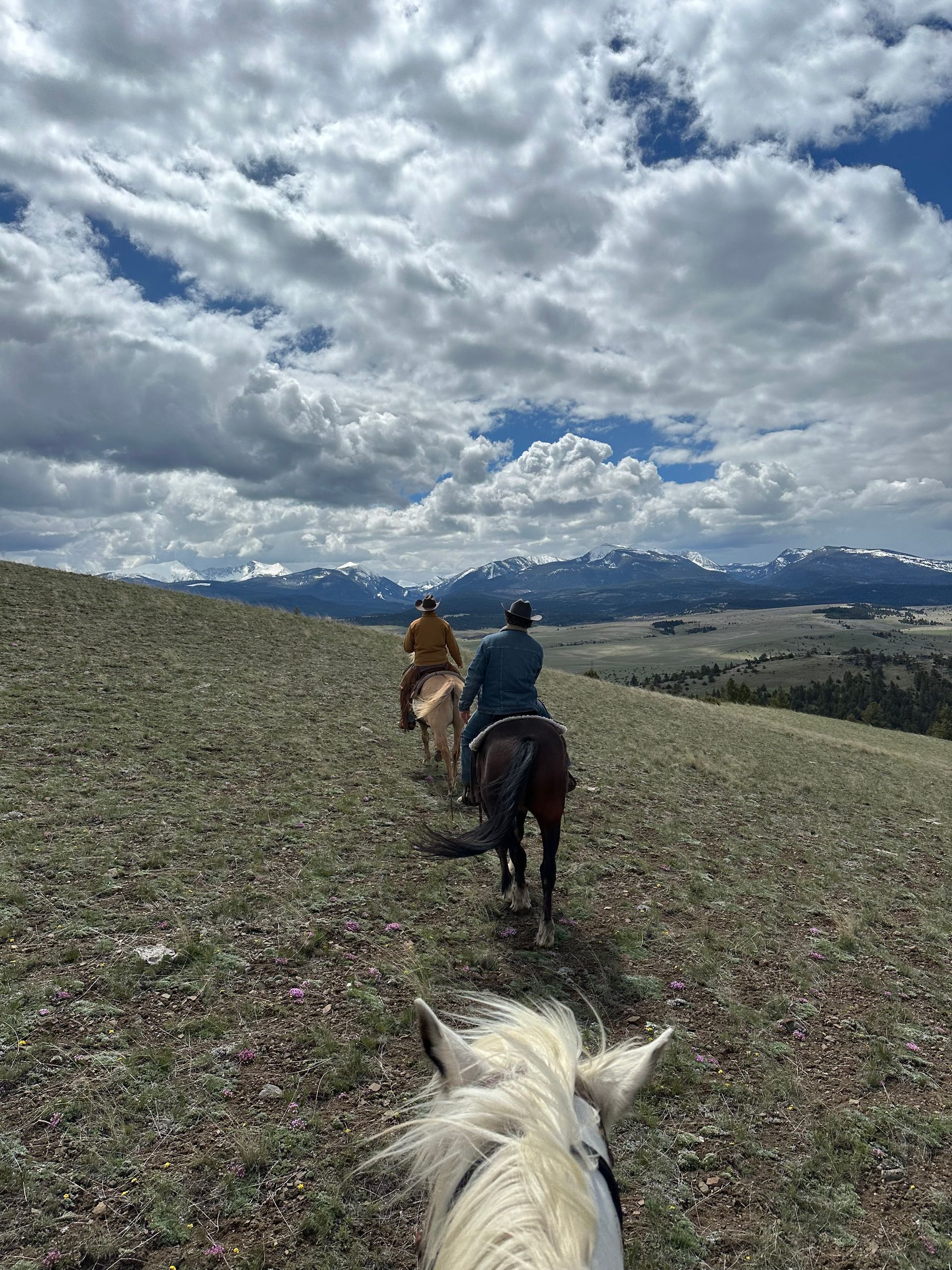 A group of people are riding horses down a hill.
