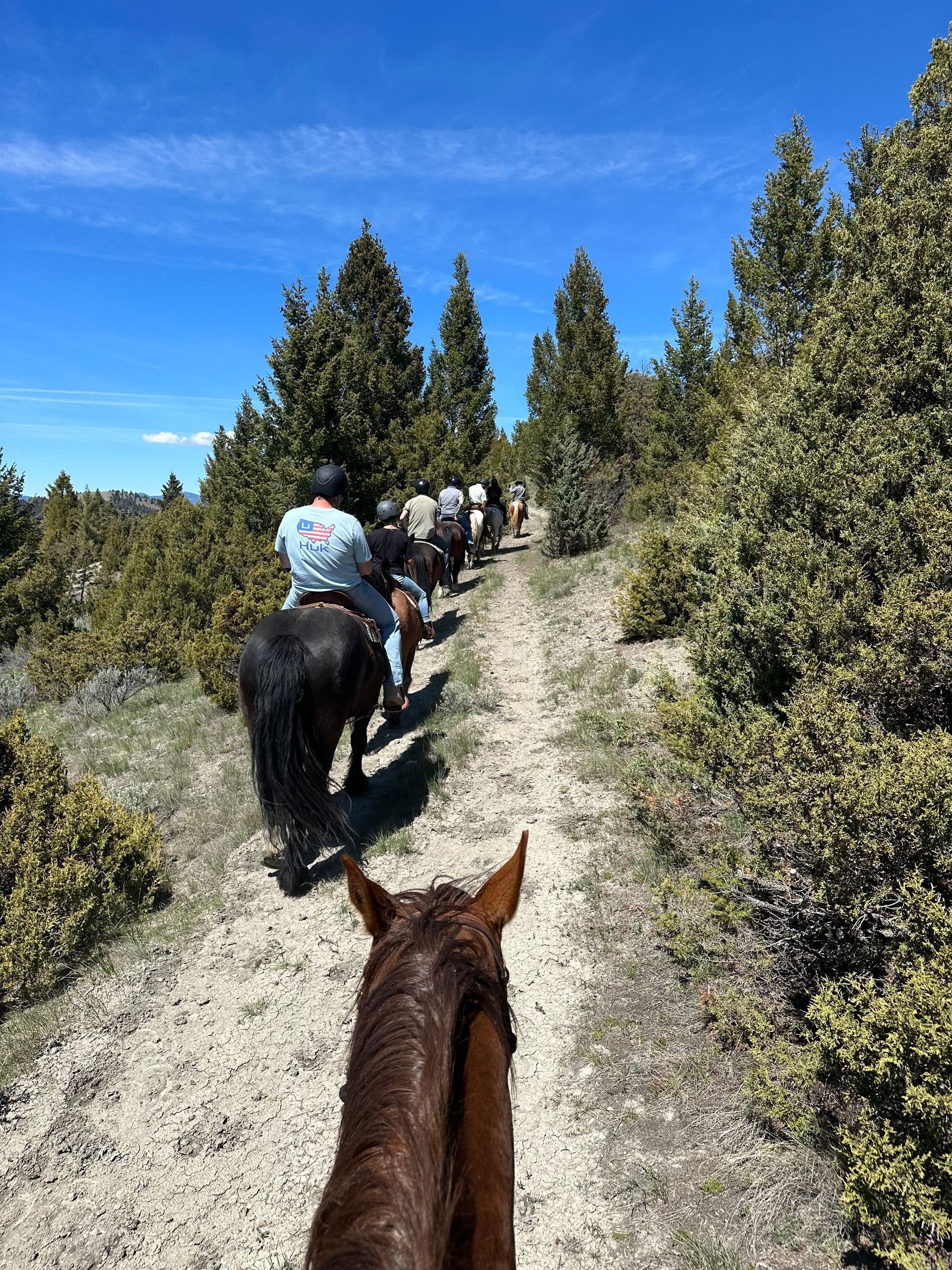 A group of people are riding horses down a dirt road.