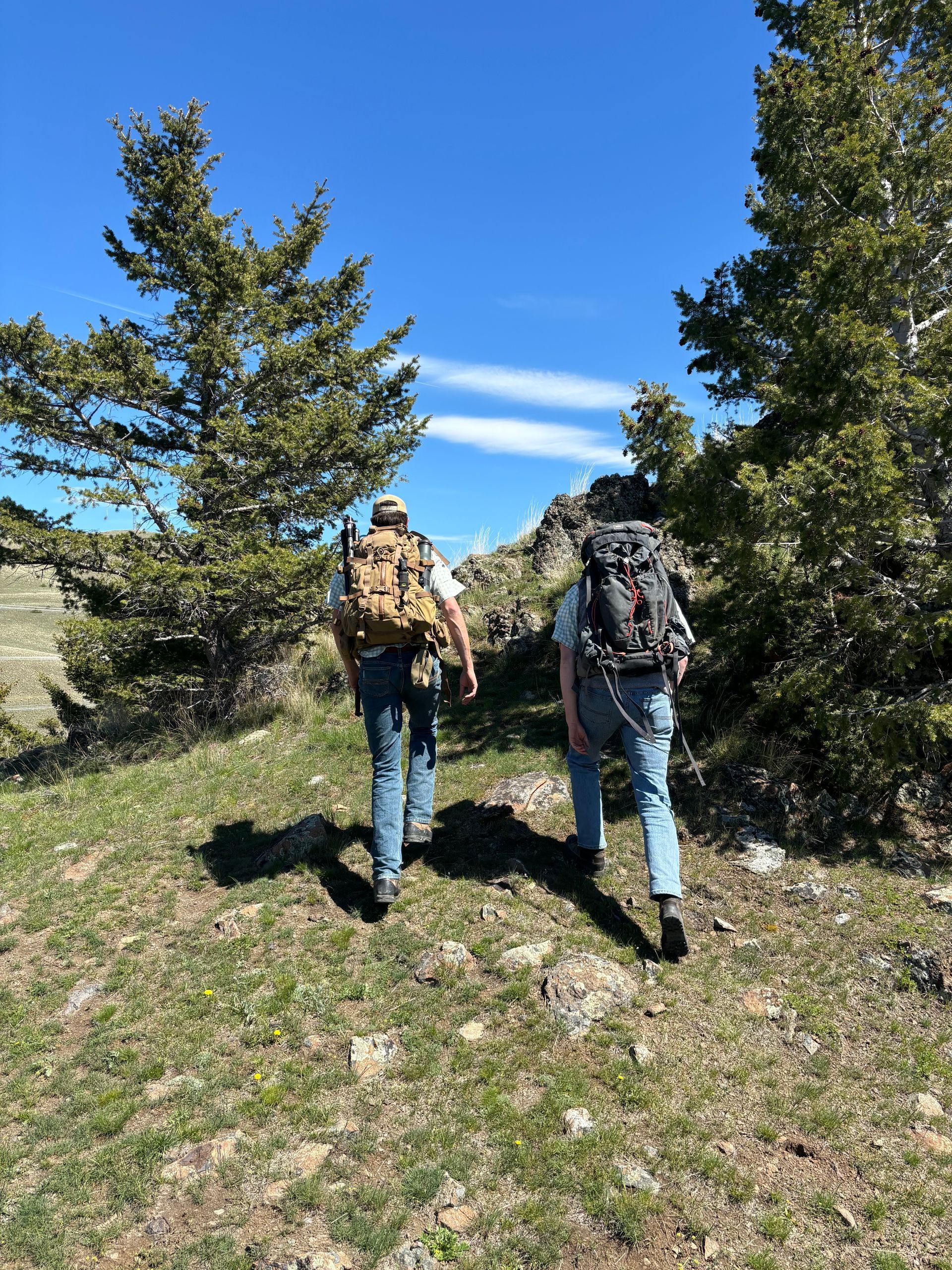 Two people with backpacks are walking on a grassy hill.