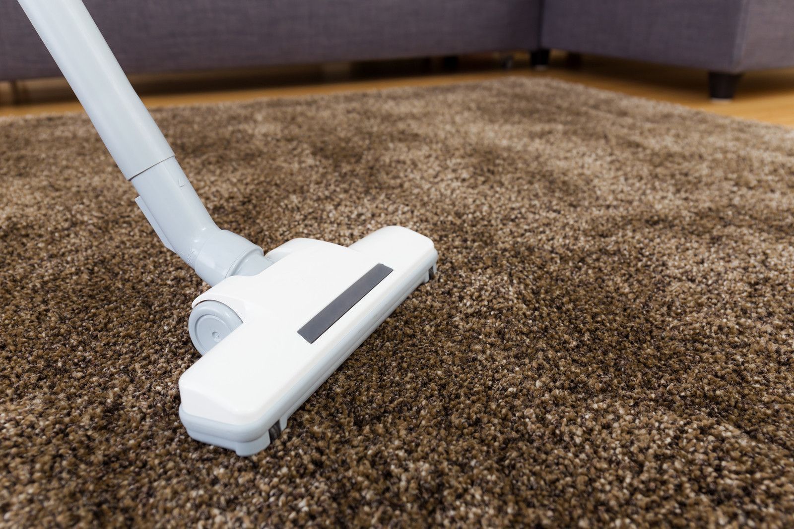 Carpet Cleaning Carpet Cleaning