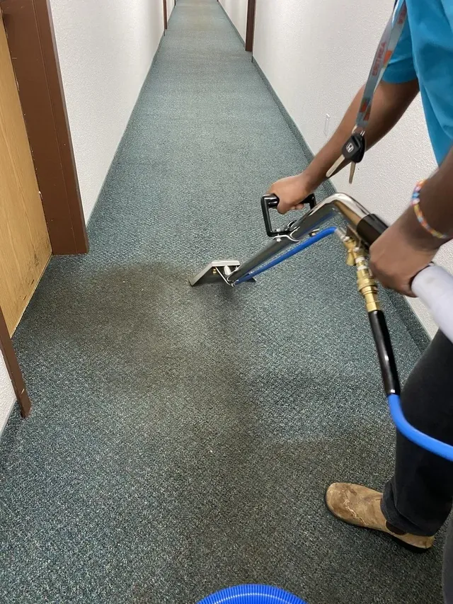 Maid Services Near Me 
