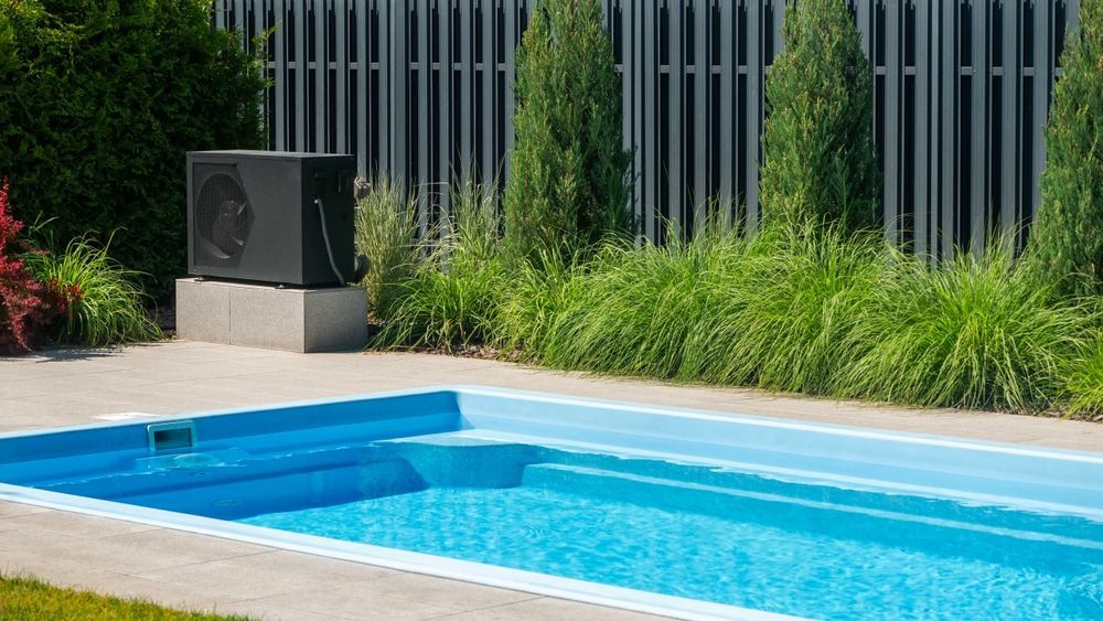 Backyard swimming pool with blue water, stone deck, and tall green shrubs along a dark fence. — Sparky Mid North Coast In Forster, NSW