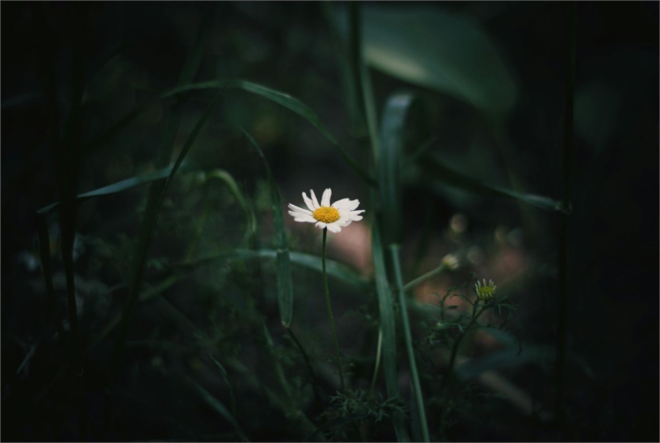 cremation services Warman, SK