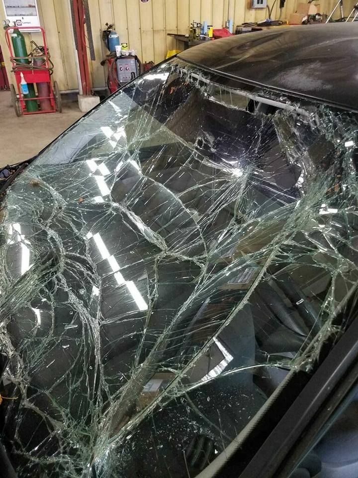 HOME [proedgeautoglass.com]